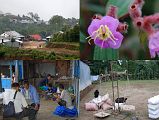 2 7 Lunch Stop In Chichilla, Wild Orchids, Weight Scale We stopped at the small ridge-top village of Chichilla (1830m) to have lunch. I walked around the village admiring the beautiful wild orchids lining the side of the road, and a scale to weight merchandise.